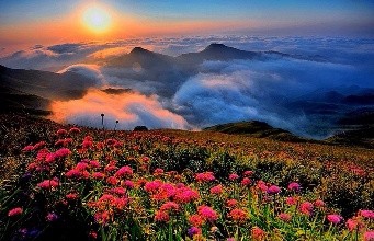 混朋友圈有哪些规则（一）