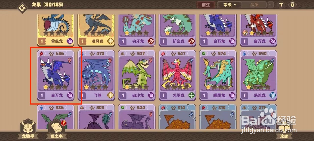 驯龙高手旅程白万龙如何穿戴装备？