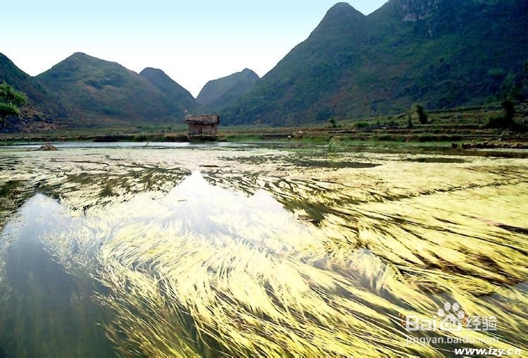云南那些我们不熟知的美景