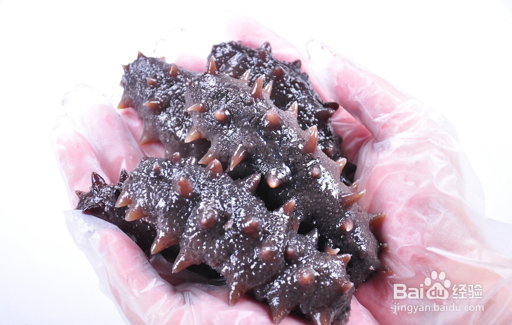 为什么你家的海参泡不大！