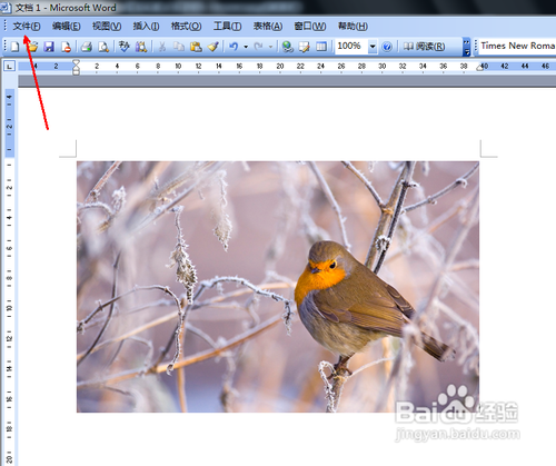 图片格式转换word格式方法