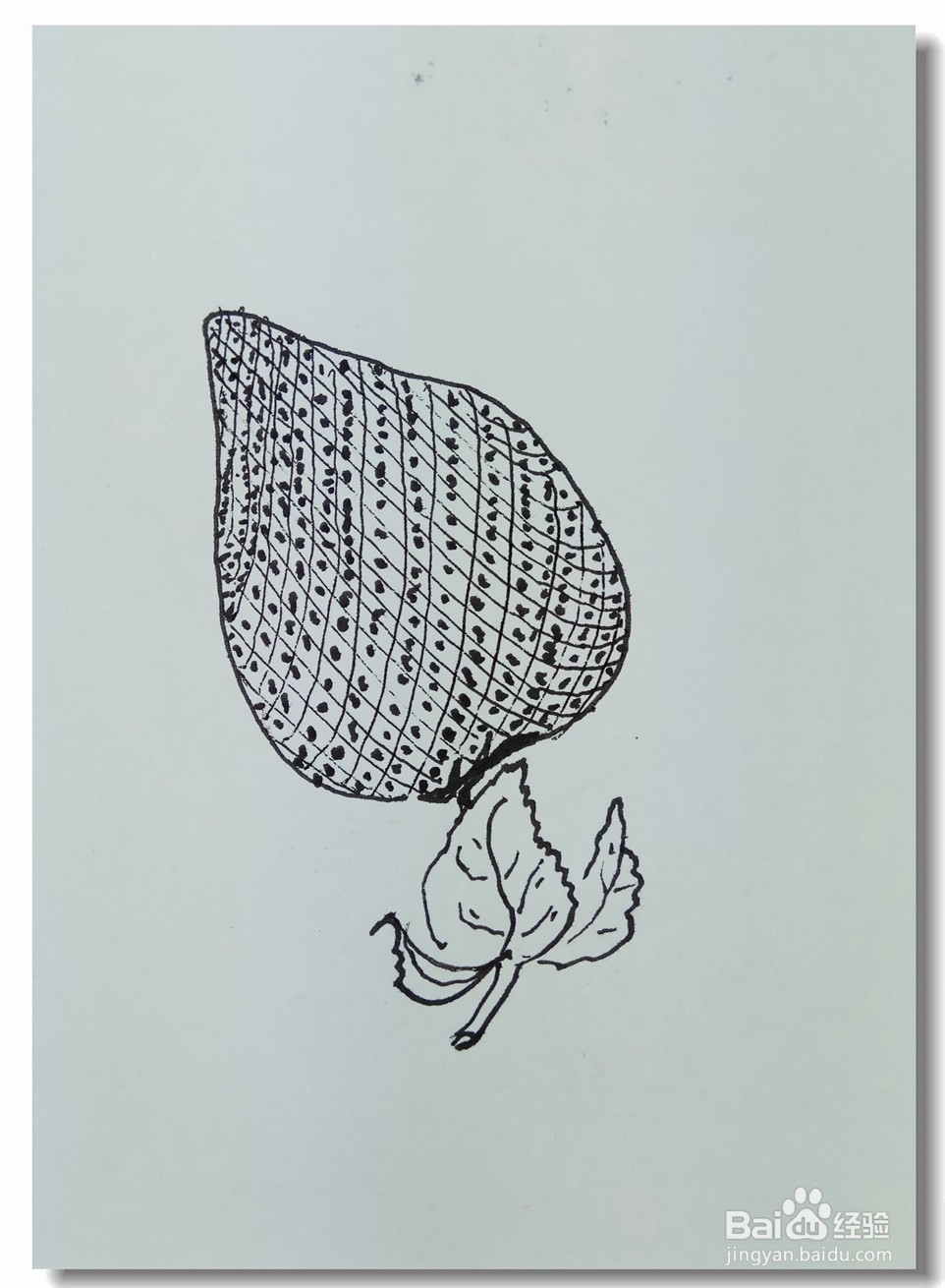 怎样画简笔画“漂亮的草莓”