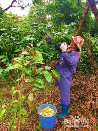 温江居住证怎么办理