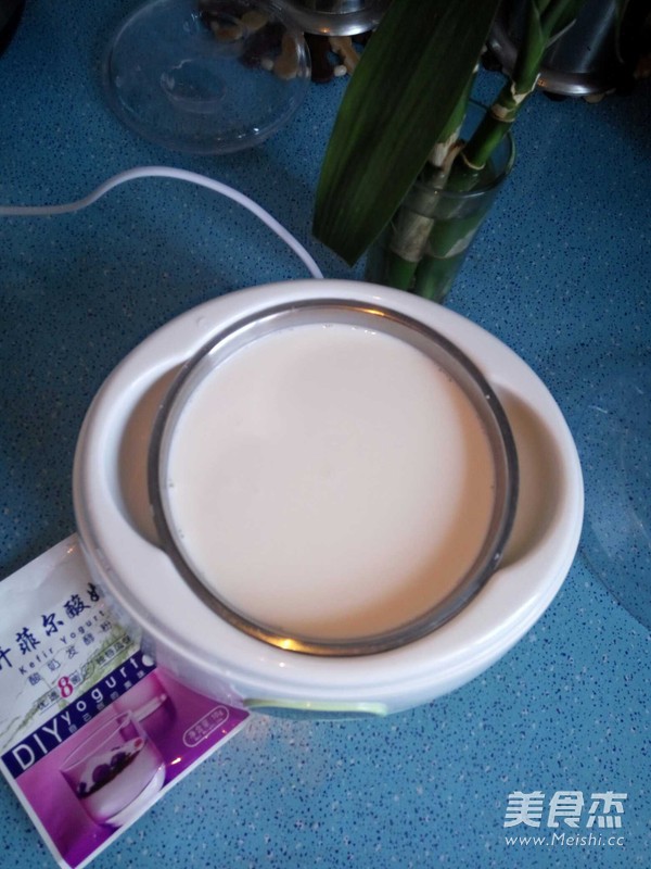 开菲尔酸奶的做法