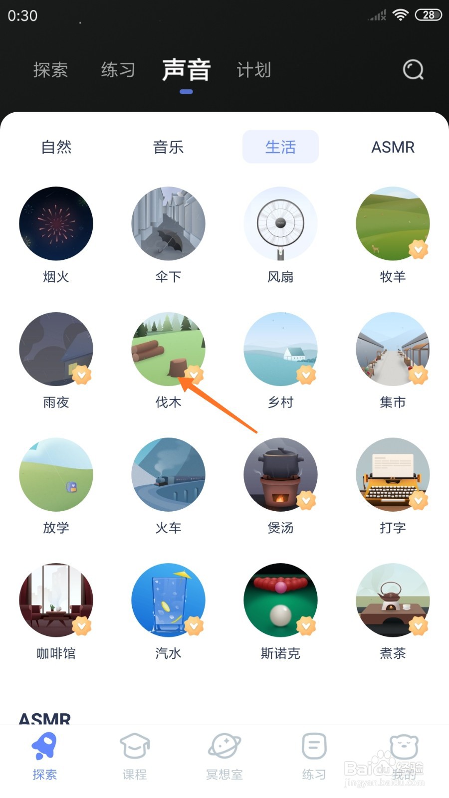 冥想星球中哪里播放伐木