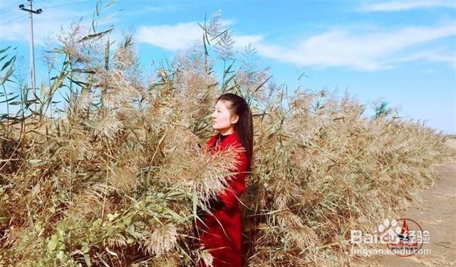 辽宁红海滩旅游好玩吗