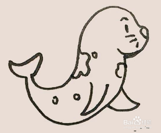简笔画之海豹
