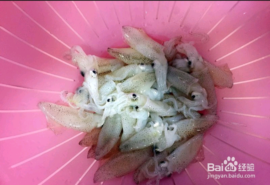 如何做出小海兔炖豆腐