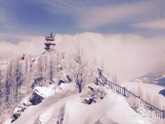 喀纳斯冬季旅游全攻略