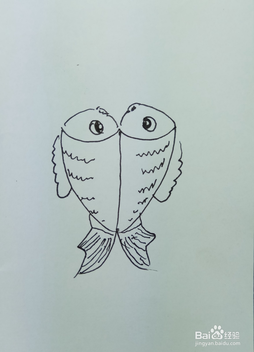 怎样画简笔画两只鱼?