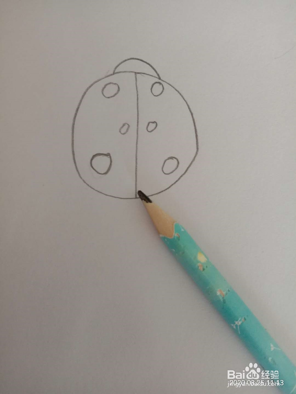 简笔画 如何画七星瓢虫