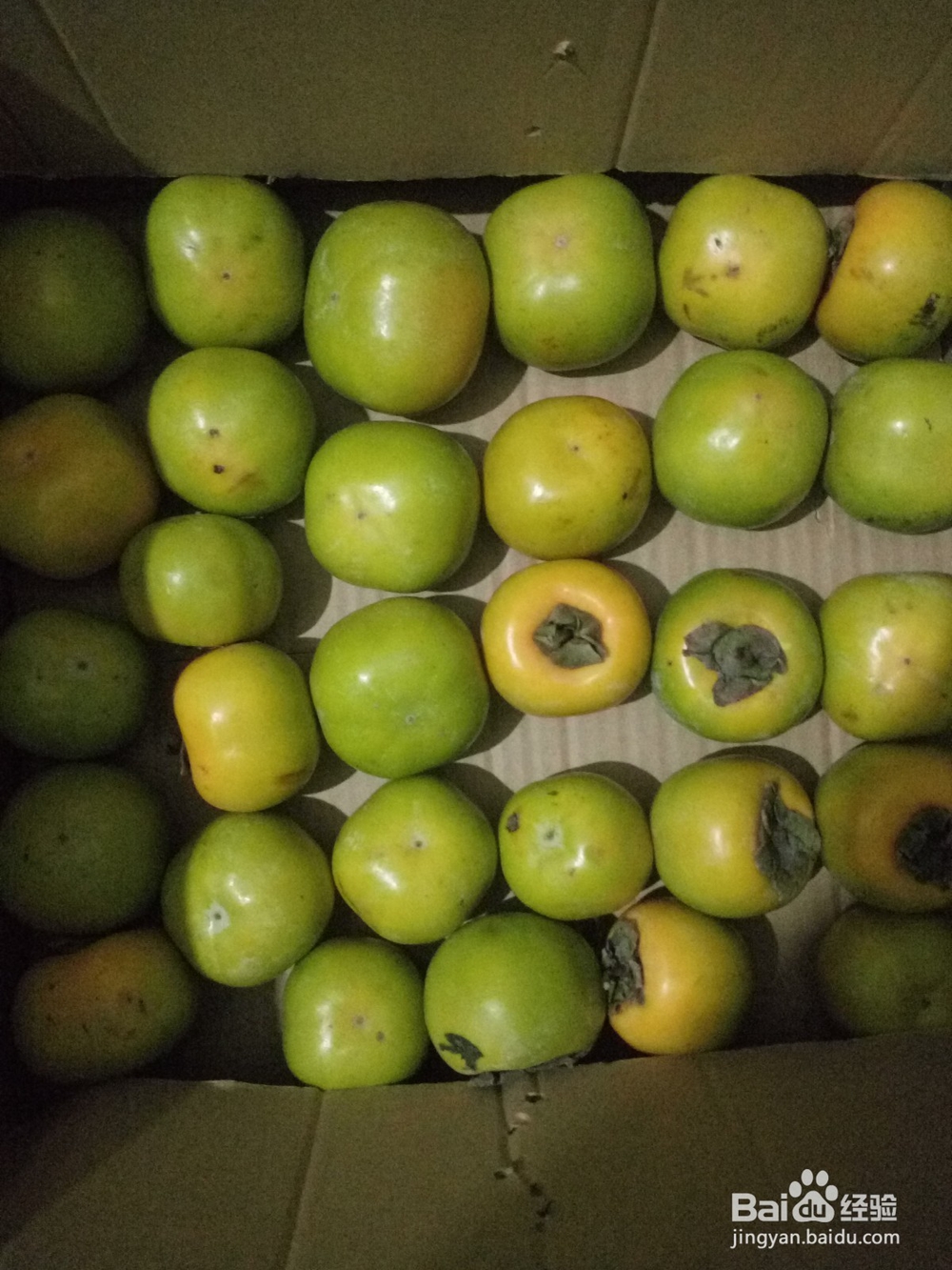 青柿子要怎么快速催熟