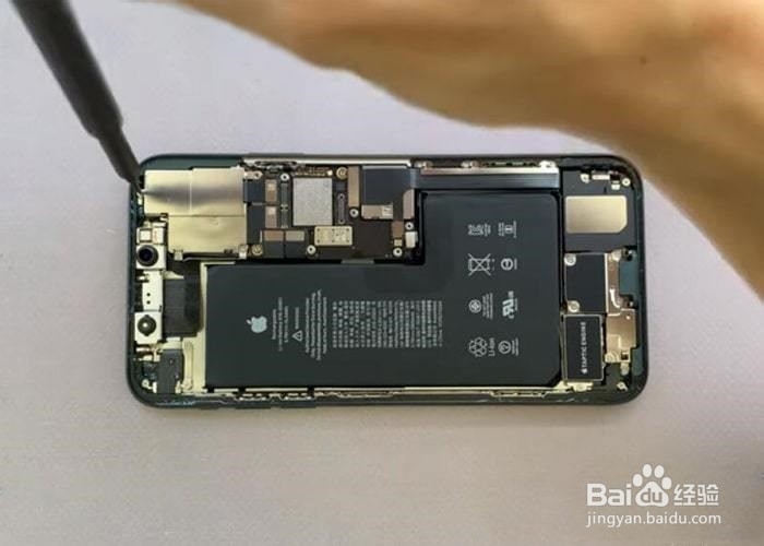 更换iPhone 11 Pro / Pro Max后置摄像头教程