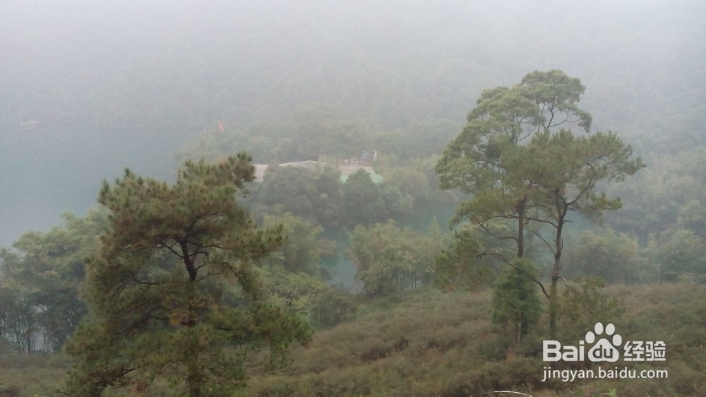 肇庆鼎湖山游记