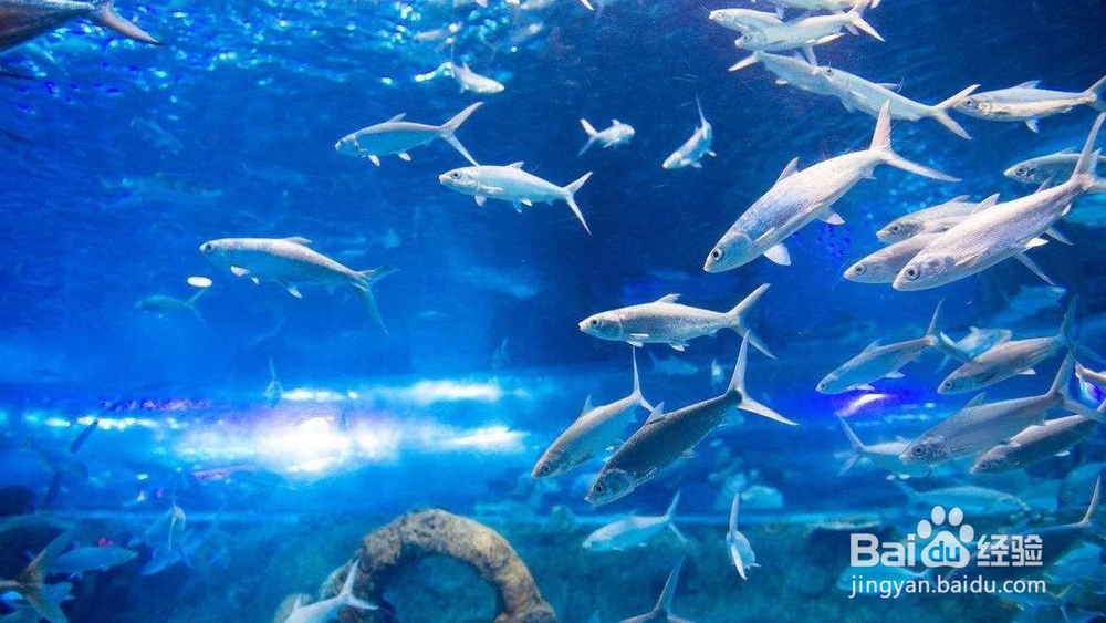 南京旅游亲子游攻略