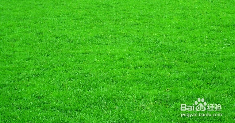 第一次的感觉你记得之开始重视身体。