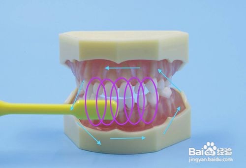 正确的刷牙方法