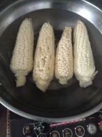 煮玉米棒的方法