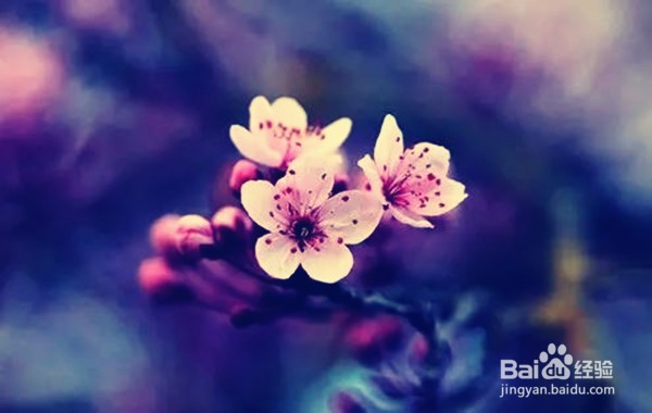 如何尊重幼儿学习与发展的整体性