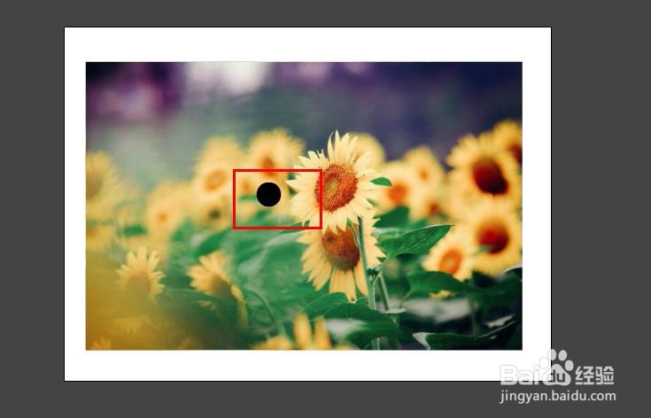 FLASH制作擦出图片的效果（AS3）