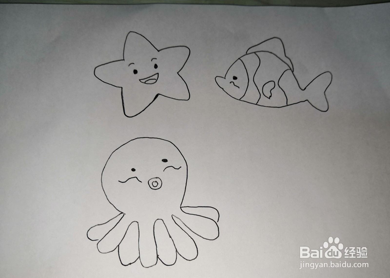 海洋生物简笔画彩色