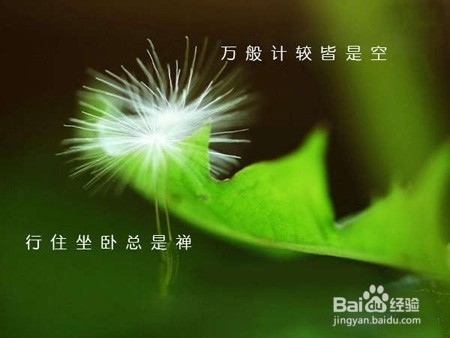 我们需要生活慢节奏