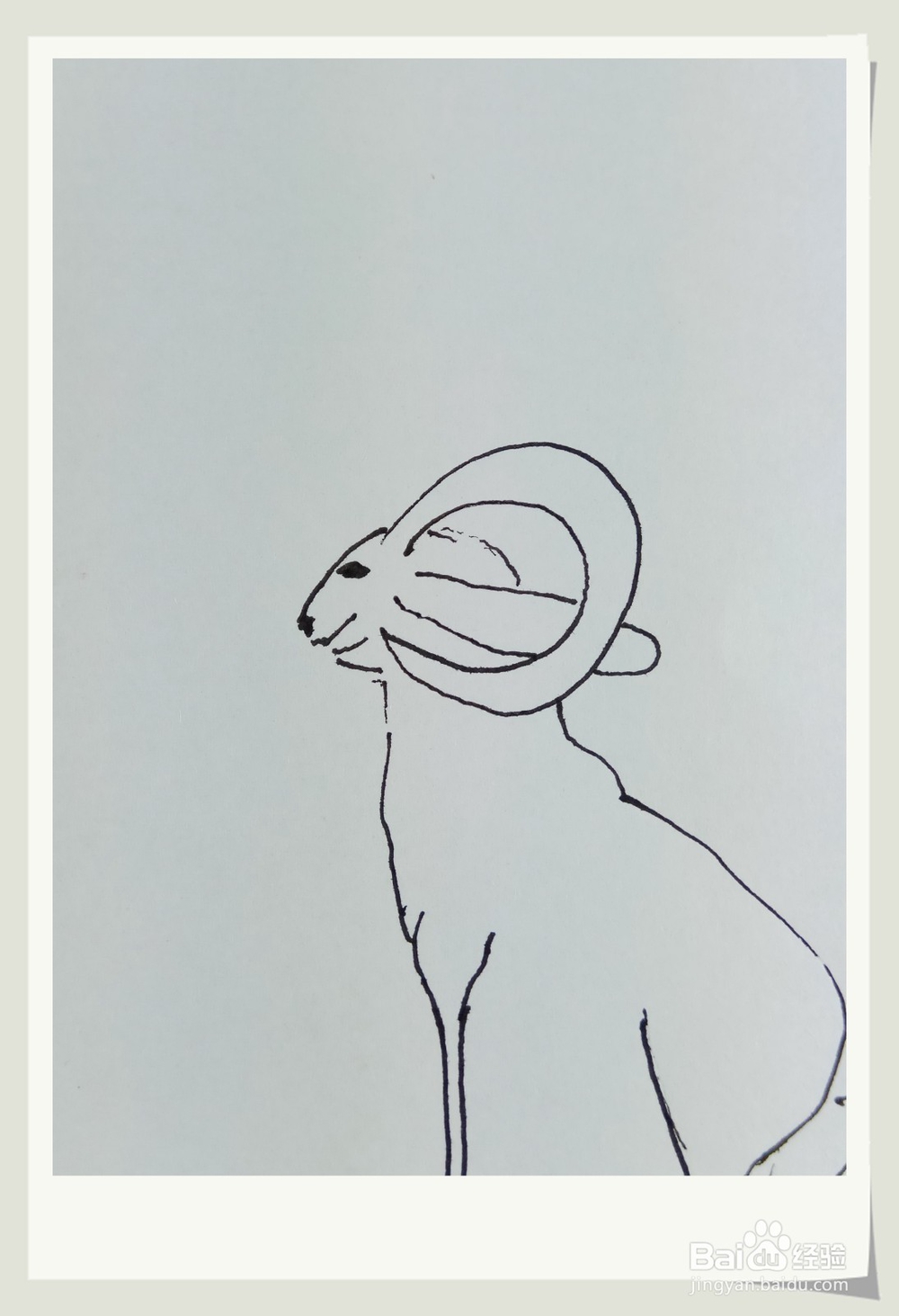 怎样画钢笔画“老羊”？