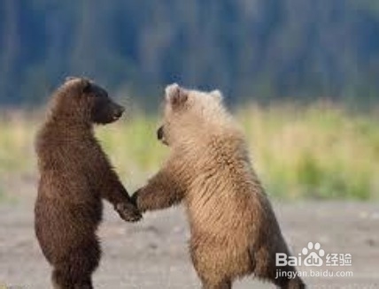 扭转人生获得成功最值得投资的5大项目