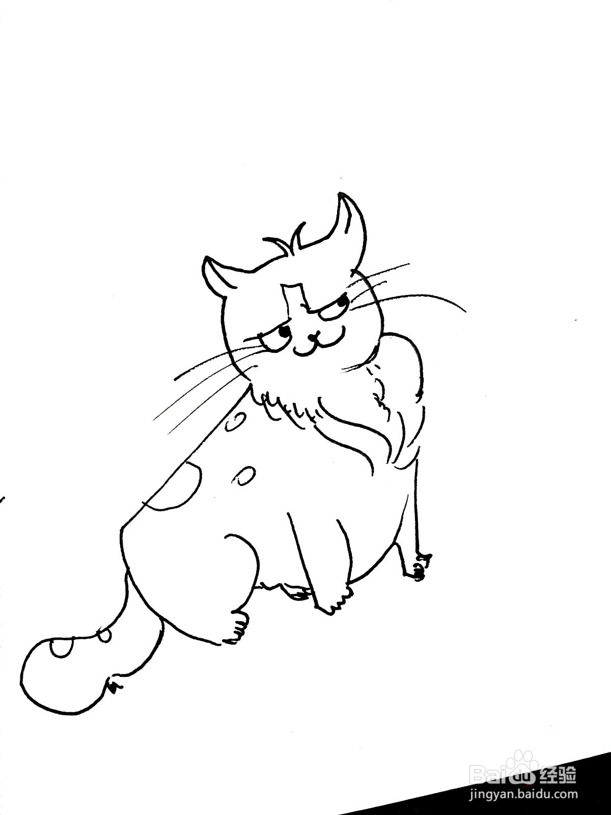 狸猫线描画怎么画