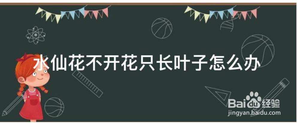 水仙只长叶不开花怎么办