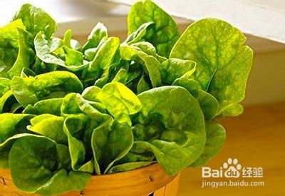 常吃菠菜对人体有啥好处