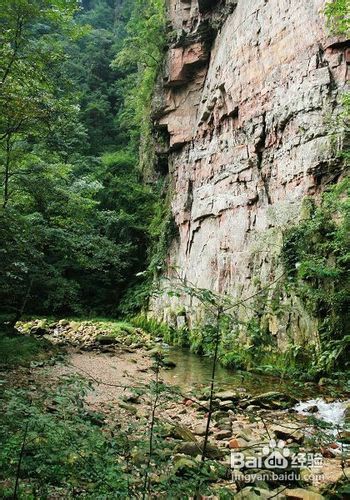 寒假去张家界自助游贴士
