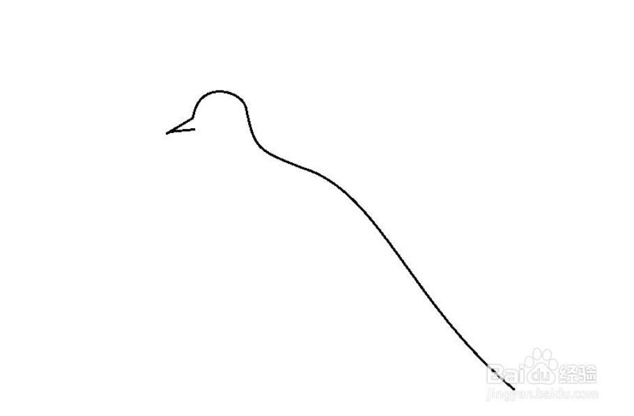 怎么简单画五彩鸟