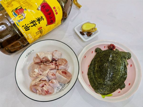 红烧甲鱼烧鸡块