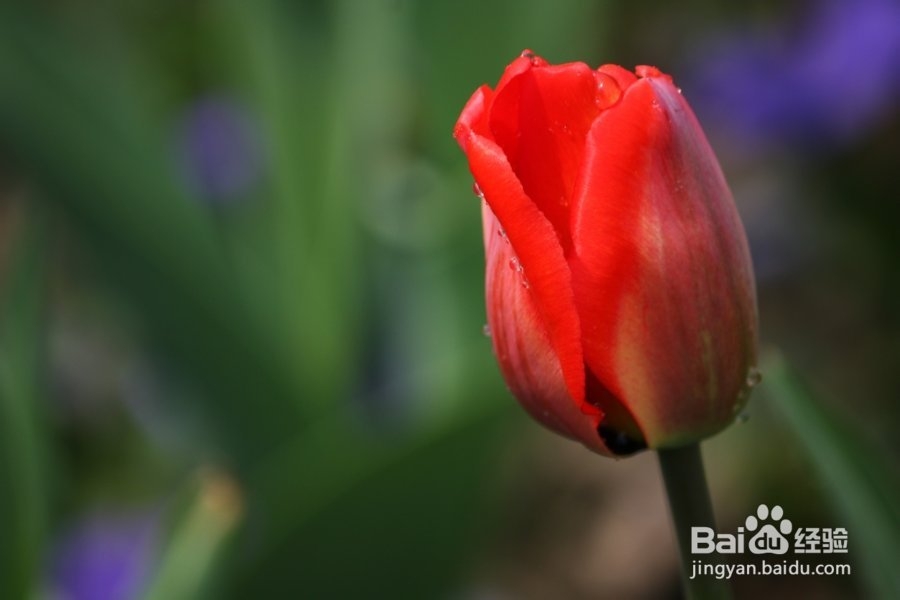 中考进冲刺 命题专家指导各科如何备战