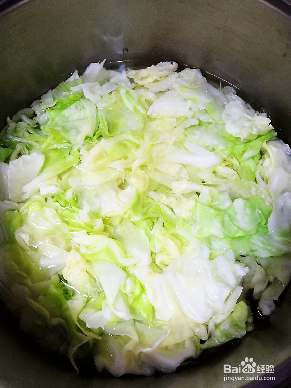 姐姐为我做的凉拌卷心菜