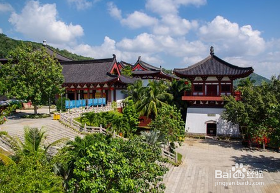 龙口南山景区旅游攻略