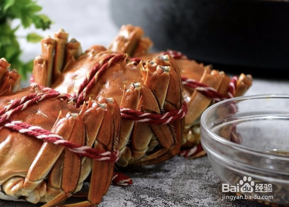 怎么轻松辨别螃蟹公母?以及如何清蒸大闸蟹