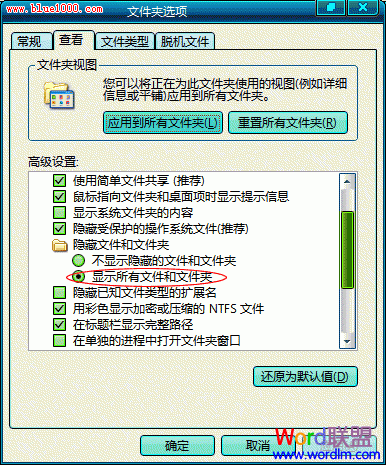 Word 2003上次启动时失败，以安全模式启动