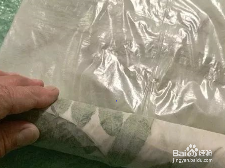 植物转印染方法