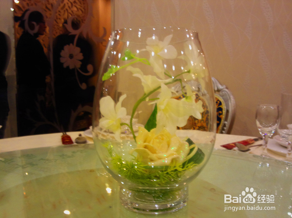 室内放哪些植物好