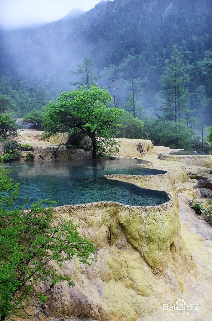 旅游,到处看看风景吧