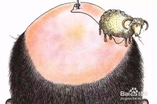 生姜不能治疗脱发