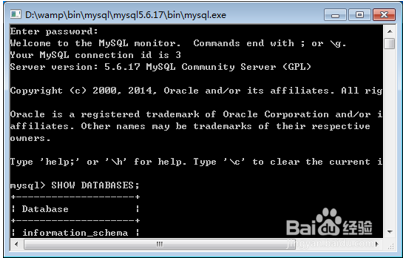 一键搭建最新php开发环境(新手向)