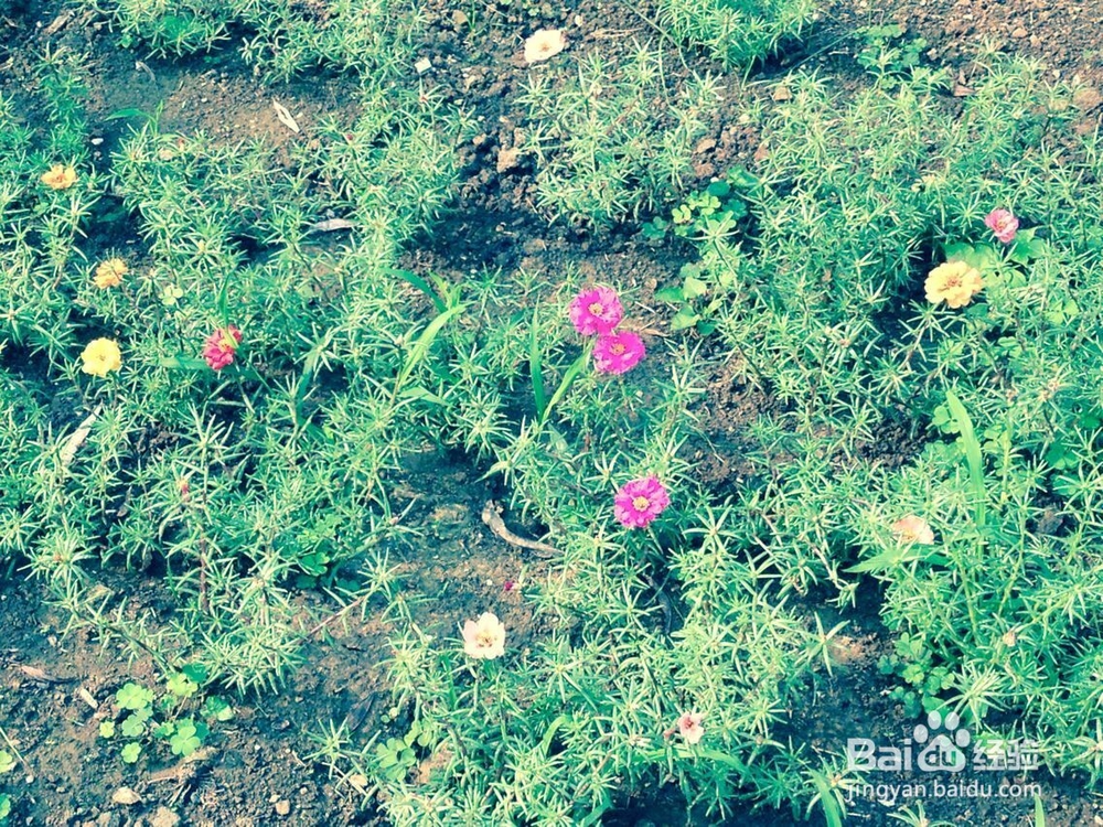 惹父母生气怎么办?