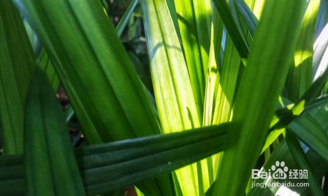 有哪些摄影后期处理App值得推荐？