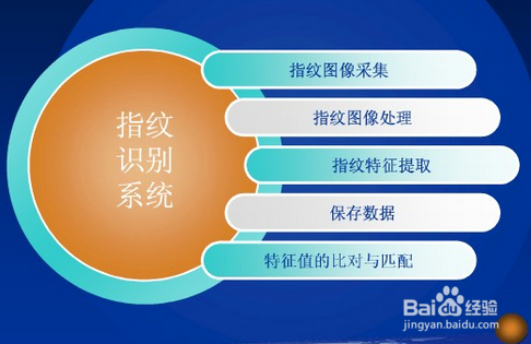 为什么指纹可以进行身份识别？