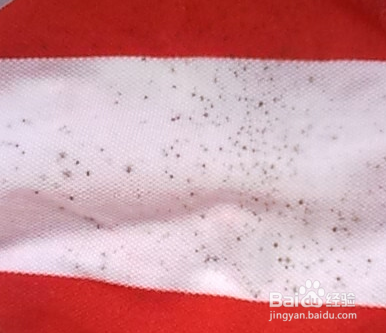 如何去除衣服上的另类污渍