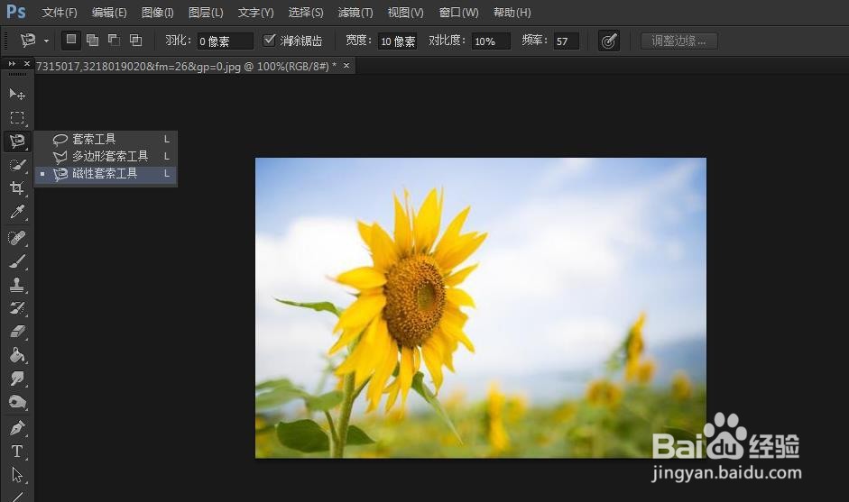 PS如何使用磁性套索工具抠图