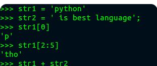 python编程基础入门